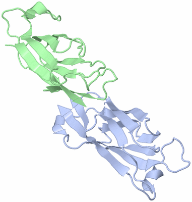 Image Asymmetric Unit