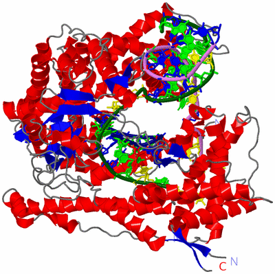 Image Asym./Biol. Unit