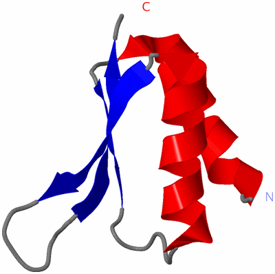 Image NMR Structure - model 1