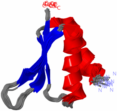 Image NMR Structure - all models