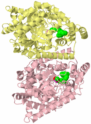 Image Biological Unit 2