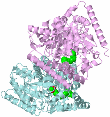 Image Biological Unit 3