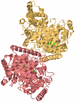 Image Biological Unit 4