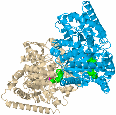 Image Biological Unit 5