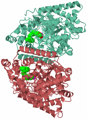 Image Biological Unit 6