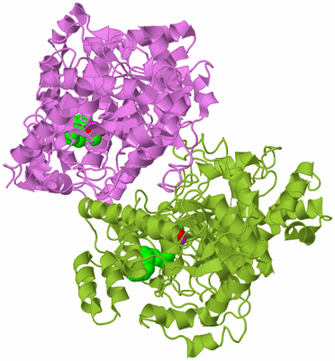 Image Biological Unit 7