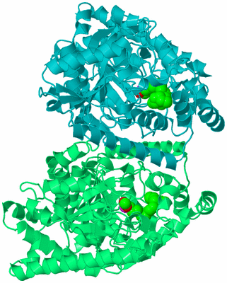 Image Biological Unit 8