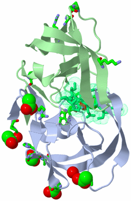 Image Asym./Biol. Unit - sites