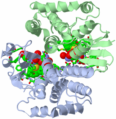 Image Asym./Biol. Unit - sites