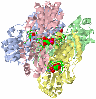 Image Biol. Unit 1 - sites