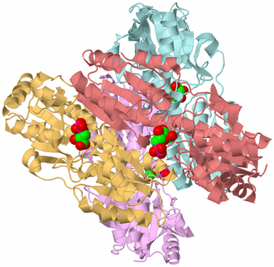 Image Biological Unit 2