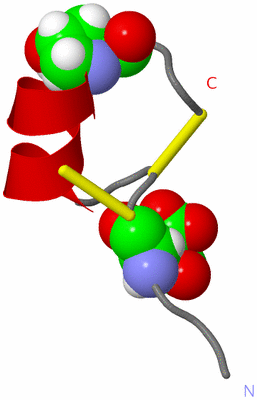 Image NMR Structure - model 1