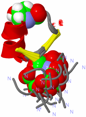 Image NMR Structure - all models