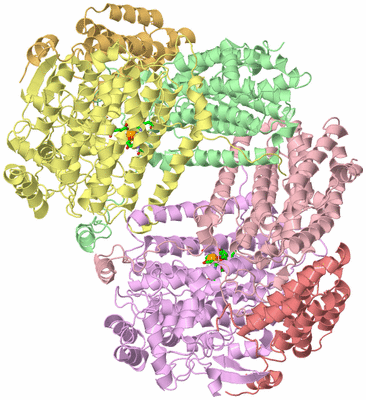 Image Asym./Biol. Unit - sites