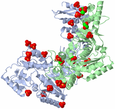Image Asym./Biol. Unit