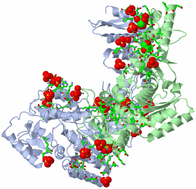 Image Asym./Biol. Unit - sites