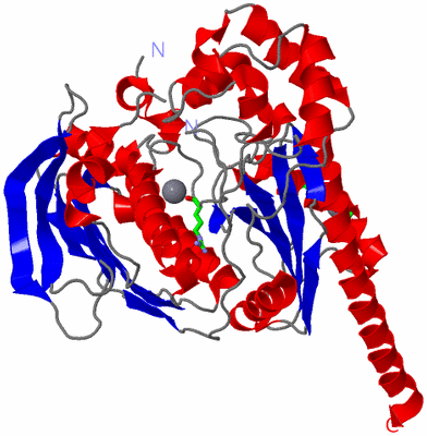 Image Asym./Biol. Unit - sites