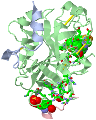 Image Asym./Biol. Unit - sites