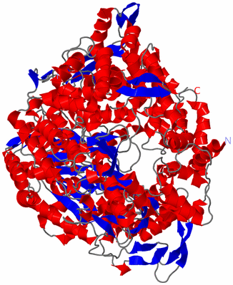 Image Asym./Biol. Unit