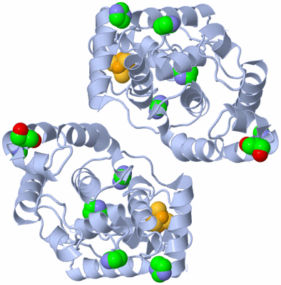 Image Biological Unit 1