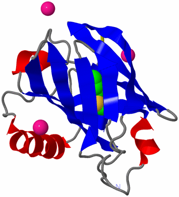 Image Asym./Biol. Unit