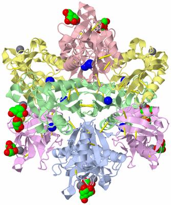 Image Biological Unit 1