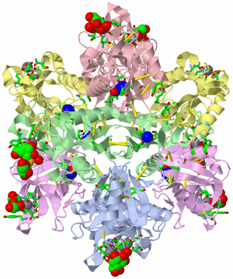 Image Biol. Unit 1 - sites