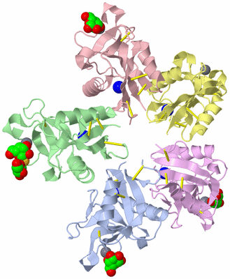 Image Biological Unit 2
