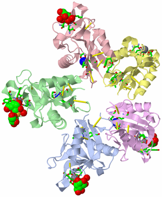 Image Asym. Unit - sites
