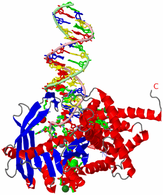 Image Asym. Unit - sites