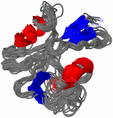 Image NMR Structure - all models