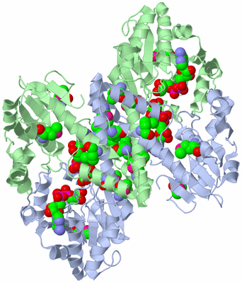 Image Biological Unit 1