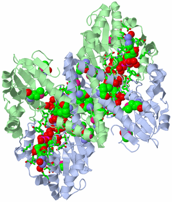 Image Biol. Unit 1 - sites