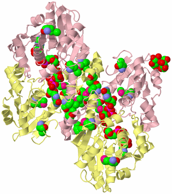 Image Biological Unit 2