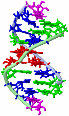 Image NMR Structure - model 1