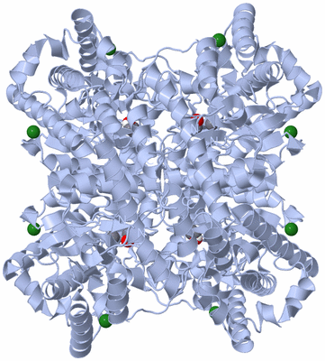 Image Biological Unit 2