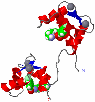 Image NMR Structure - model 1