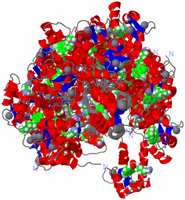 Image NMR Structure - all models