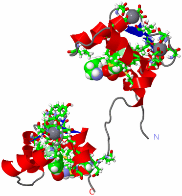 Image NMR Structure - model 1, sites