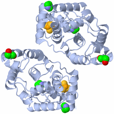 Image Biological Unit 1