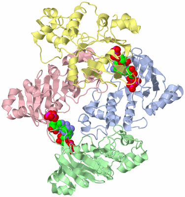 Image Asym./Biol. Unit