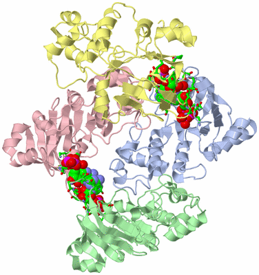 Image Asym./Biol. Unit - sites