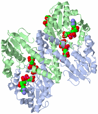 Image Biological Unit 1