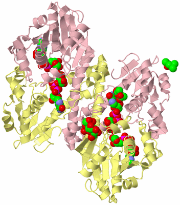 Image Biological Unit 2