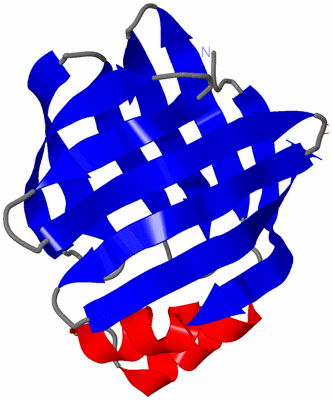 Image NMR Structure - model 1