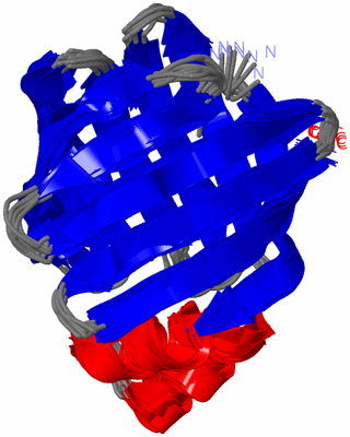 Image NMR Structure - all models