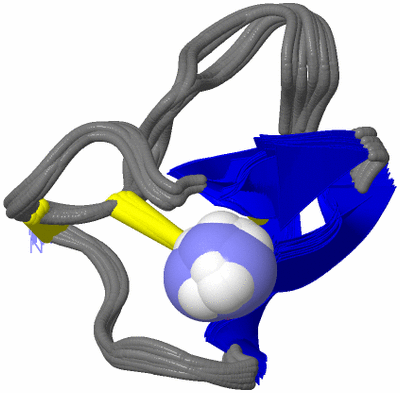 Image NMR Structure - all models