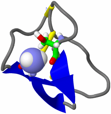 Image NMR Structure - model 1, sites