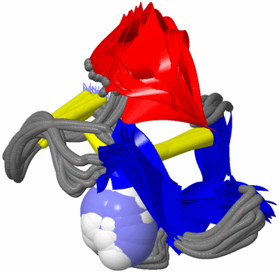 Image NMR Structure - all models