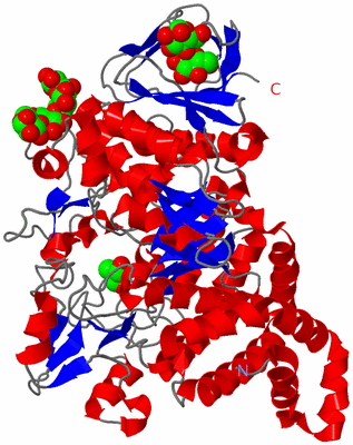 Image Asym./Biol. Unit